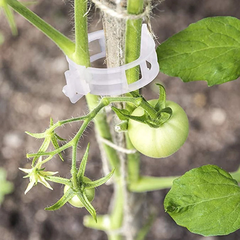 PlantClips - Genanvendelig Plantestøtte Og Fastgørelsesklips