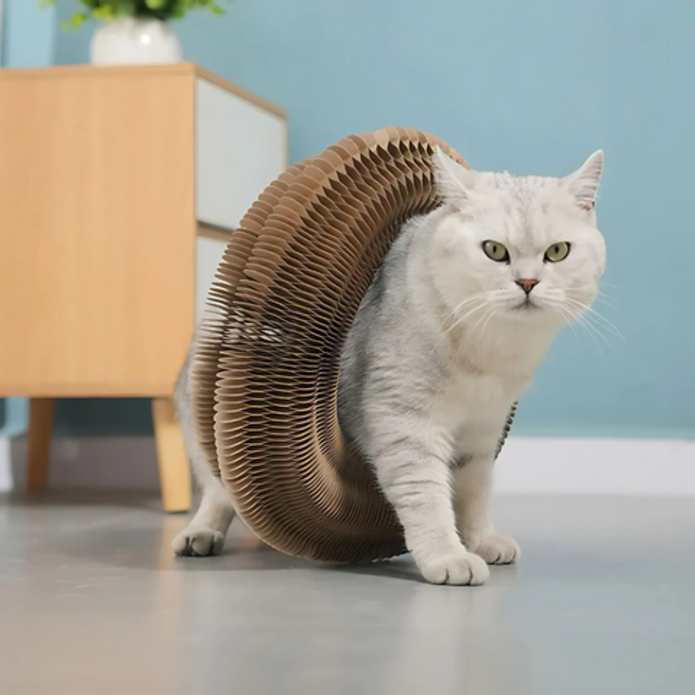 Catfri® - Katten Kradser