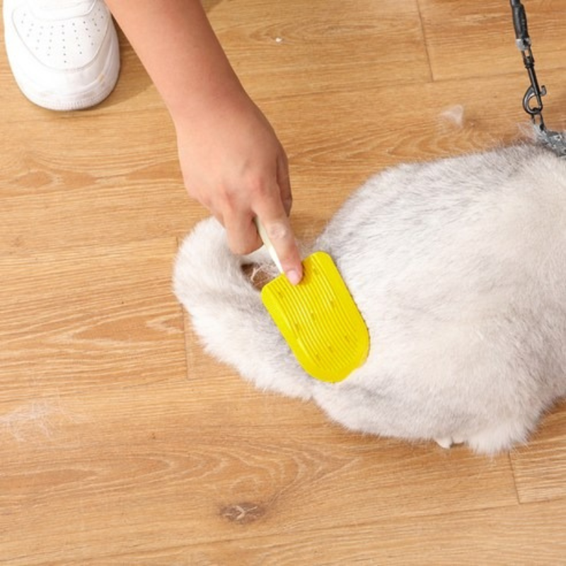 DogCatFri™ DesheddingComb 1+1 GRATIS: Nem Pleje Af Pels Med Deshedding Comb