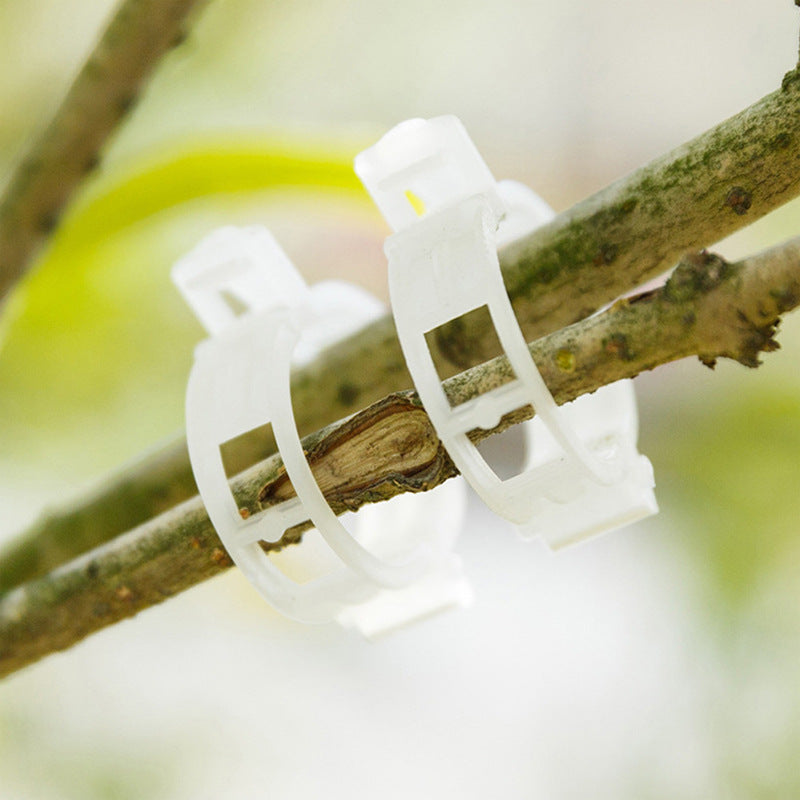 PlantClips - Genanvendelig Plantestøtte Og Fastgørelsesklips