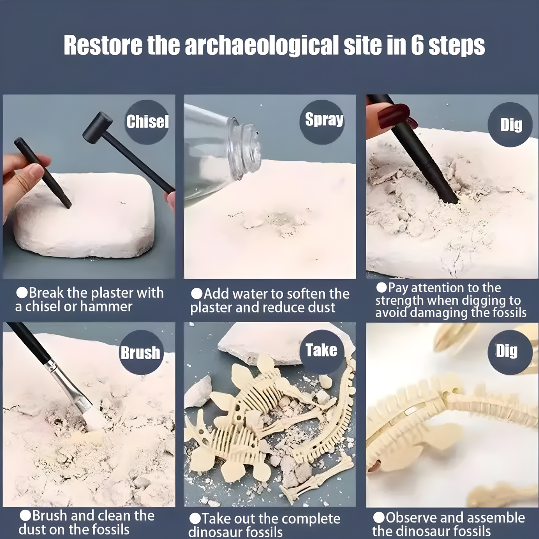 Kletshuts™ SkeletonDinosaur: Pædagogisk Skelet Dinosaur Fossil Grave Sæt