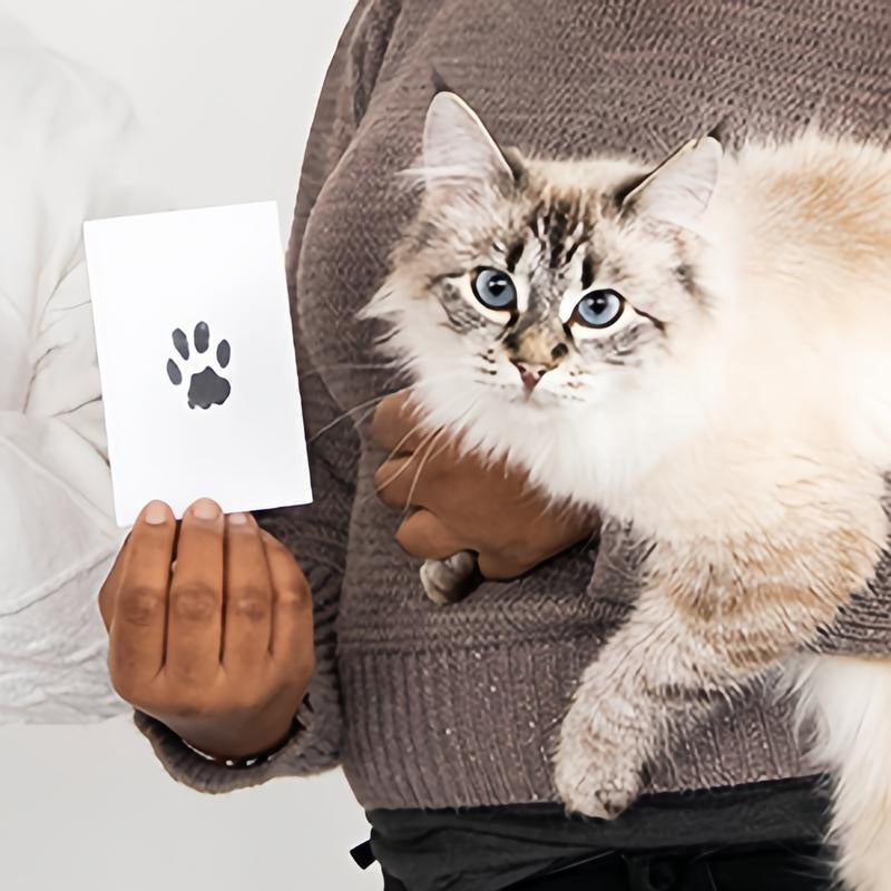 DogCatFri™ PawPrint: Kæledyr Pote Ramme Og Udskrivning Kit