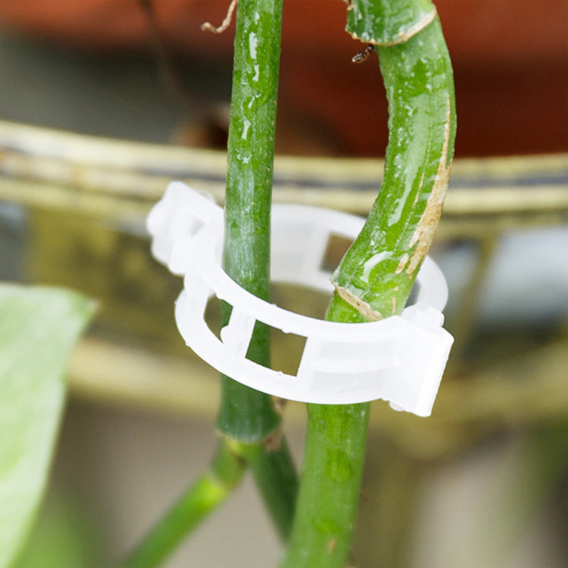 PlantClips - Genanvendelig Plantestøtte Og Fastgørelsesklips