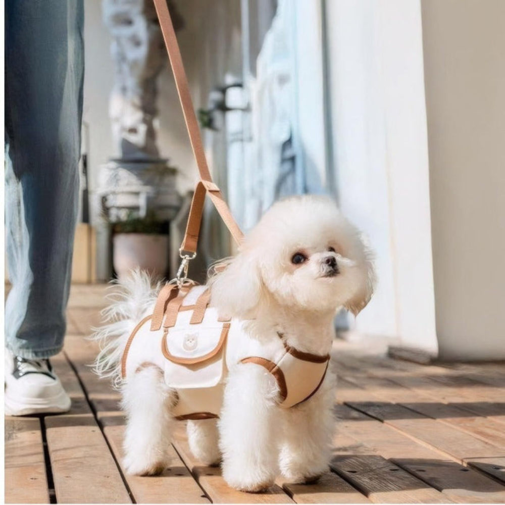 DogCatFri™ PetSling: Ventileret Crossbody Rejse Klar Kæledyr Slynge