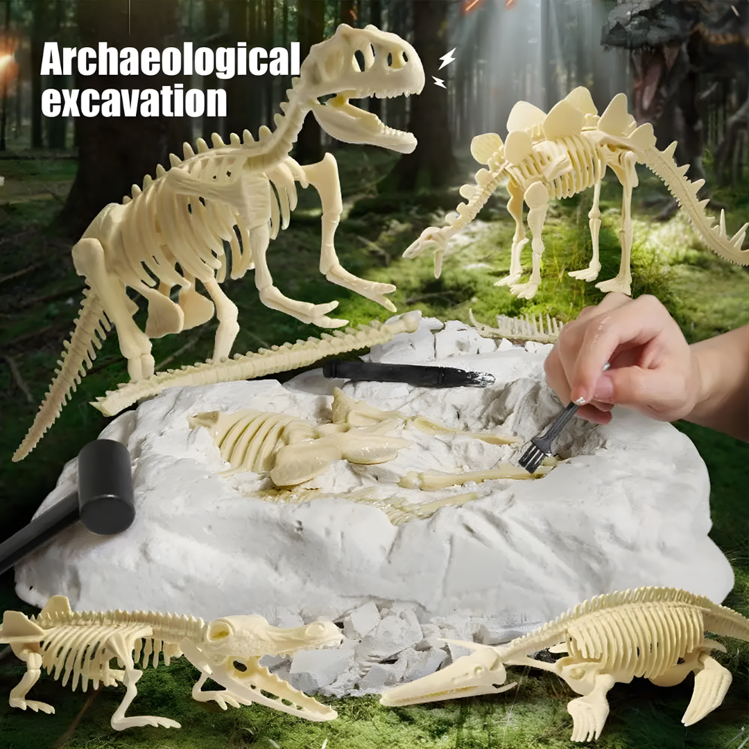 Kletshuts™ SkeletonDinosaur: Pædagogisk Skelet Dinosaur Fossil Grave Sæt