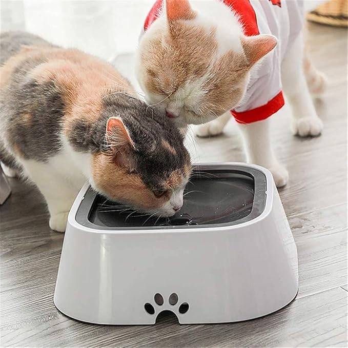 DogFri™ PetWater: Nej Plask Kæledyr Vand Dispenser
