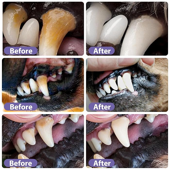 DogCatFri™  DentalPet: Kæledyr Dental Reparation Og Rengøring Gel