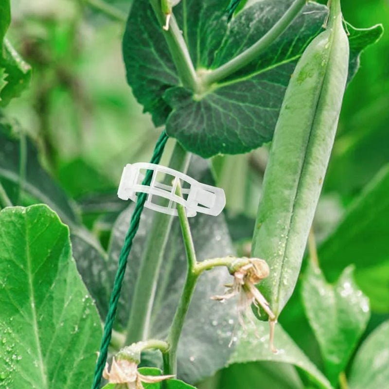 PlantClips - Genanvendelig Plantestøtte Og Fastgørelsesklips