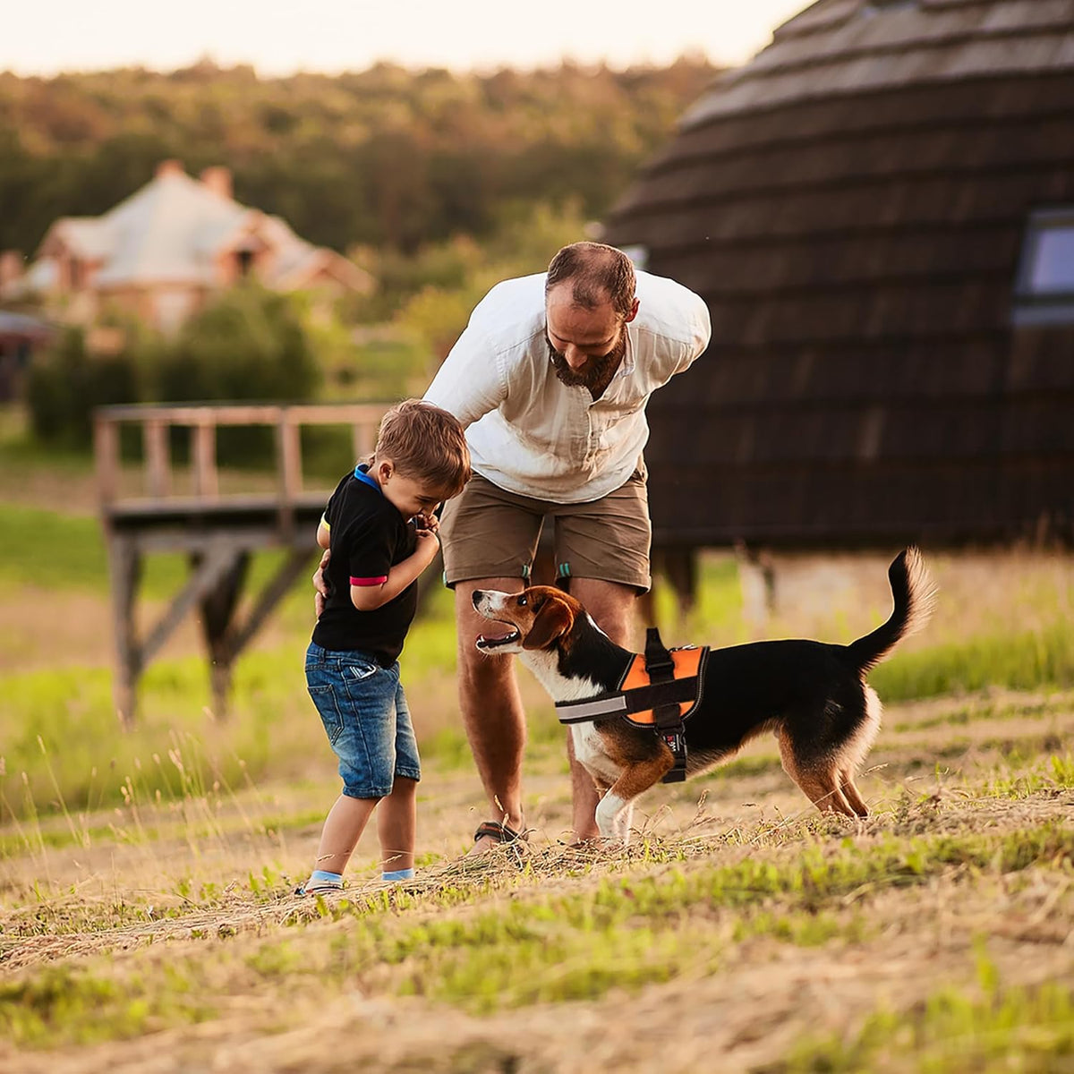DogFri™ DogHarness: Ingen træk Åndbar Hund Sele