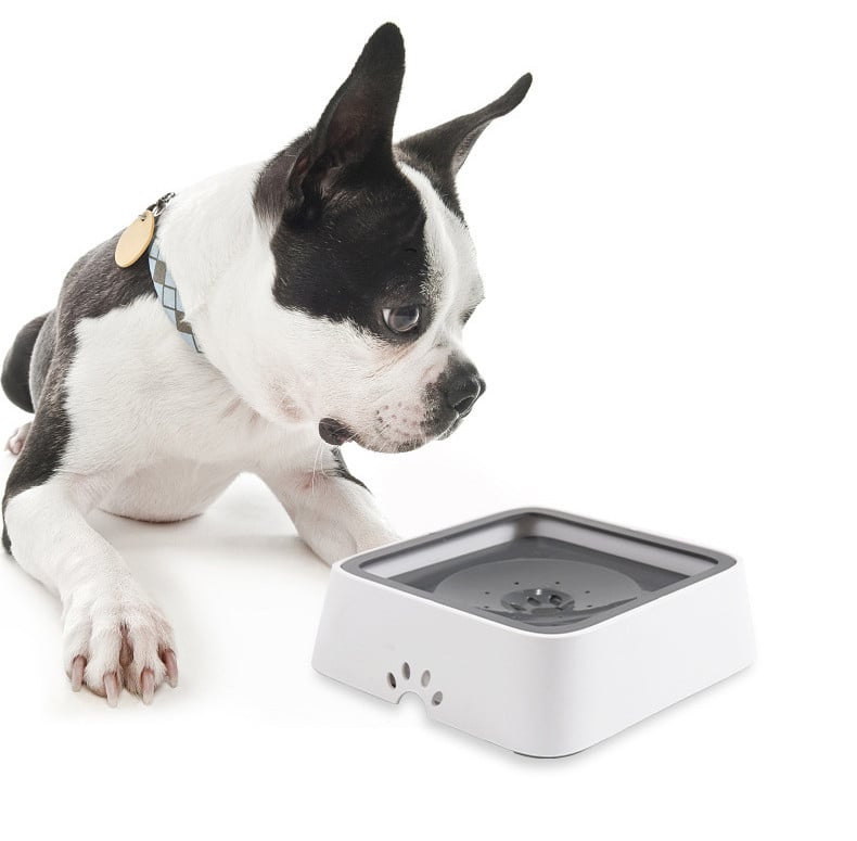DogFri™ PetWater: Nej Plask Kæledyr Vand Dispenser