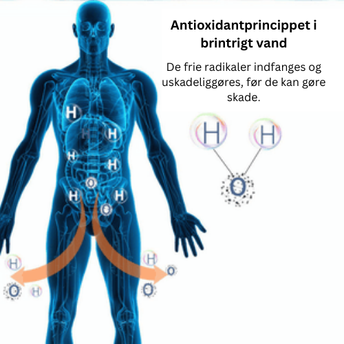 AquaGen™ genopladelig flaske med brintgenerering