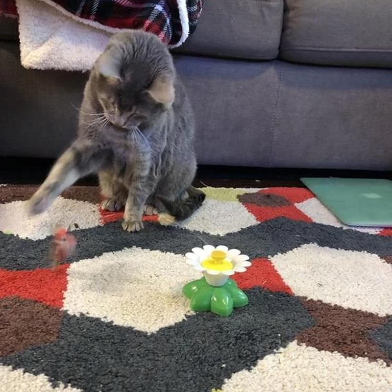 Catfri® CatChase: Interaktivt Roterende Brummende Kattelegetøj