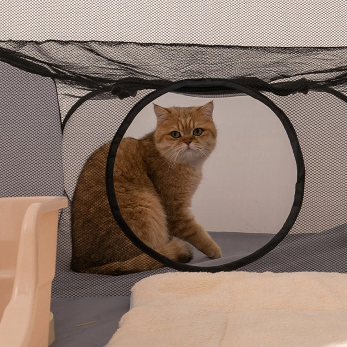 Catfri® CatPlaypen: Indendørs og Udendørs Foldbar Katlegegård Telt