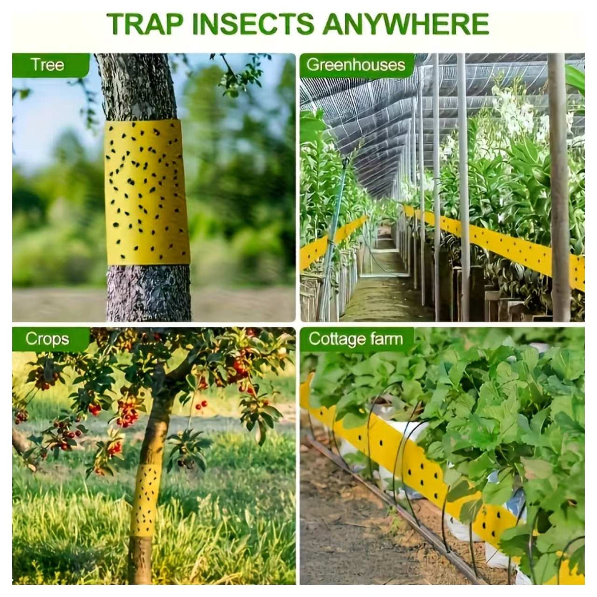 InsectTape 1+1 GRATIS - Alsidig, Nem At Bruge Have Insekt Tape Fælde