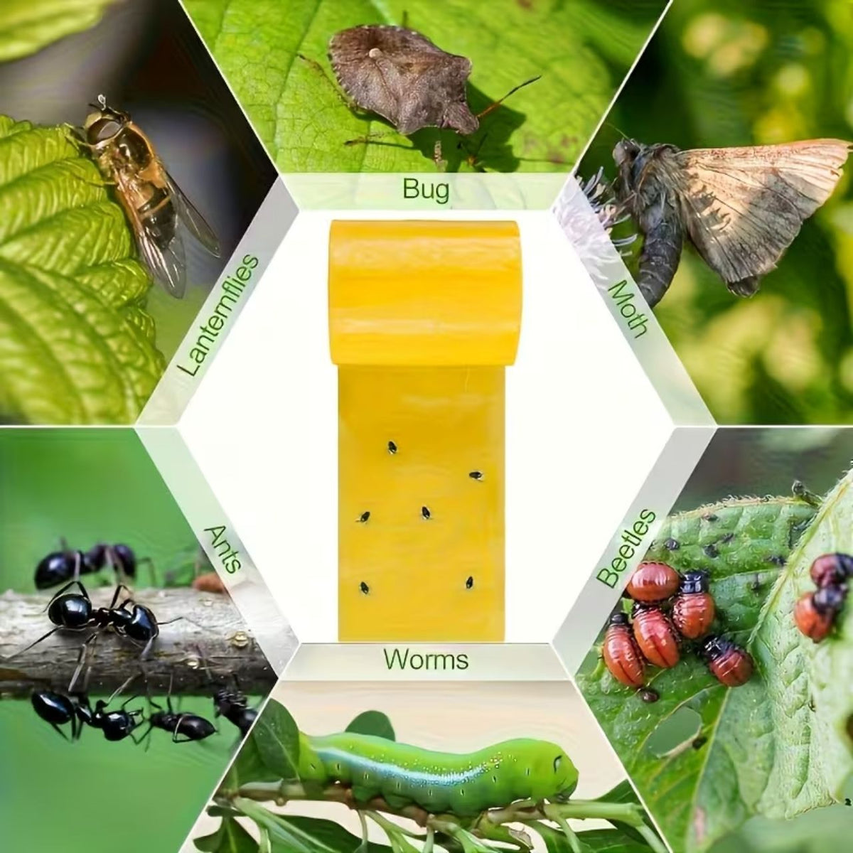 InsectTape 1+1 GRATIS - Alsidig, Nem At Bruge Have Insekt Tape Fælde