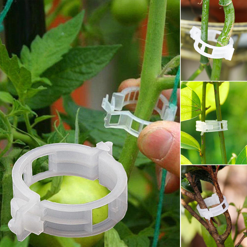 PlantClips - Genanvendelig Plantestøtte Og Fastgørelsesklips