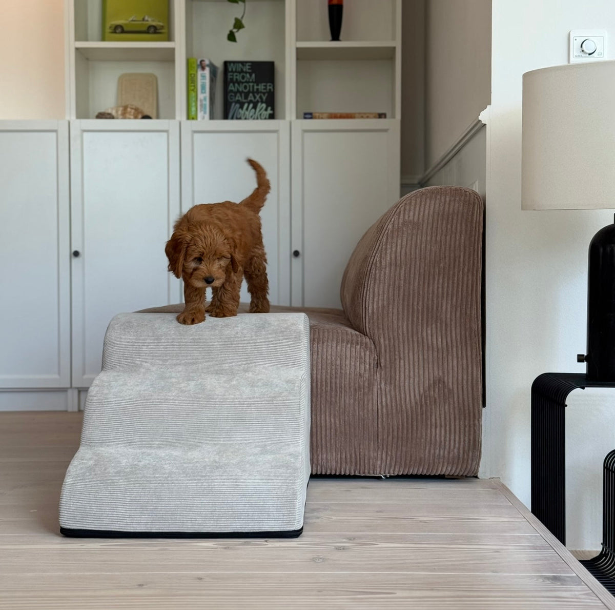DogCatFri™ CouchStairs: Kæledyrsvenlige Komfortable Sofa Trapper