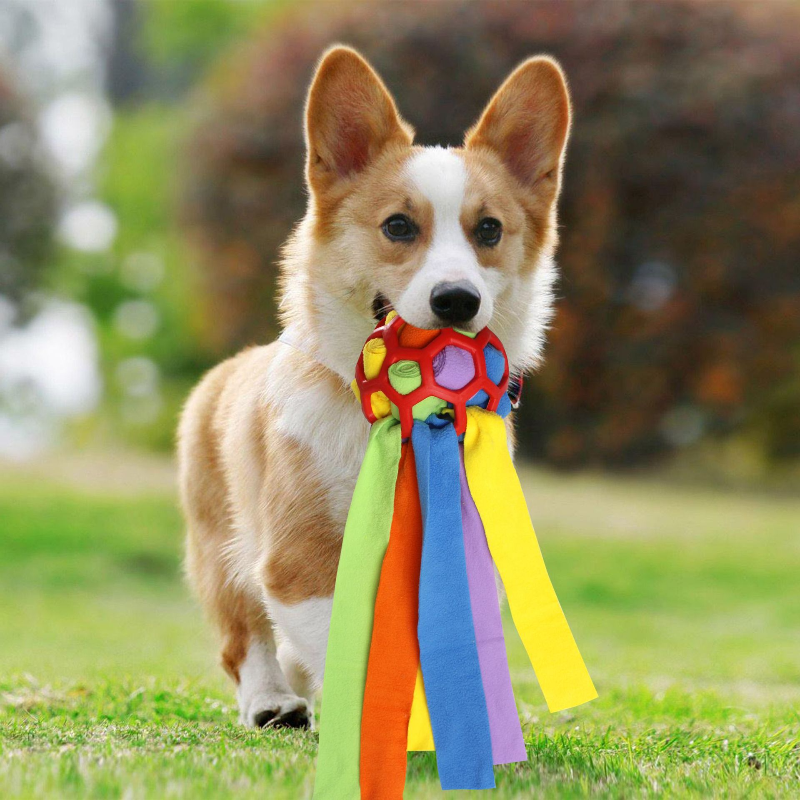 DogFri™ PetPuzzle - Interaktivt Puslespil  Kæledyr Legetøj