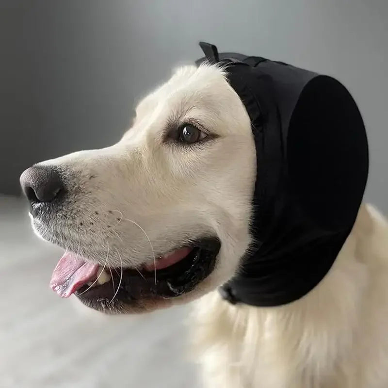 Prettywitchy | Støjdæmpende ørebeskyttere til hunde