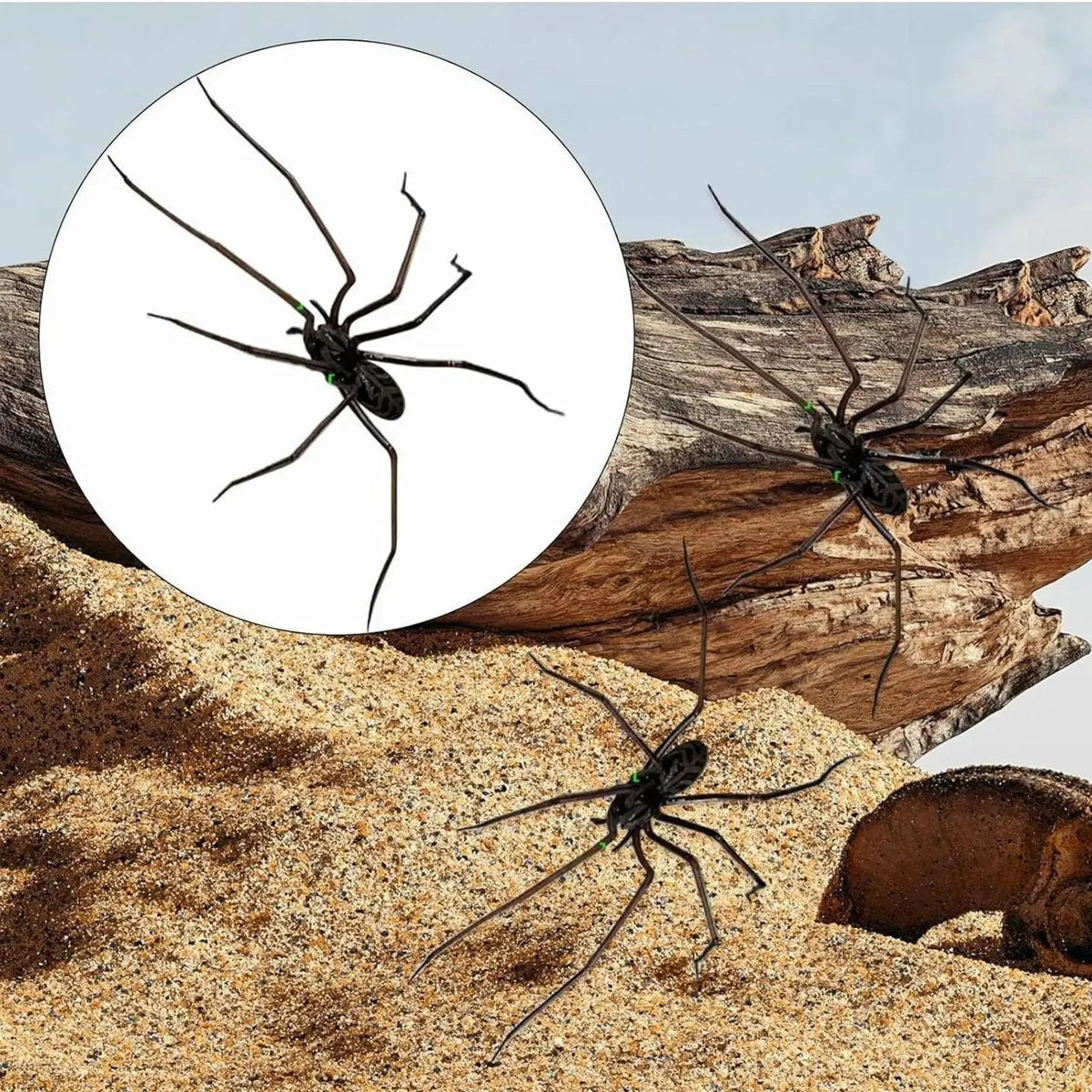 MagneticSpider 2+3 GRATIS: Magnetisk Realistisk 3D Edderkop Dekor Til Køleskab