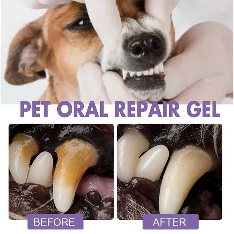 DogCatFri™  DentalPet: Kæledyr Dental Reparation Og Rengøring Gel