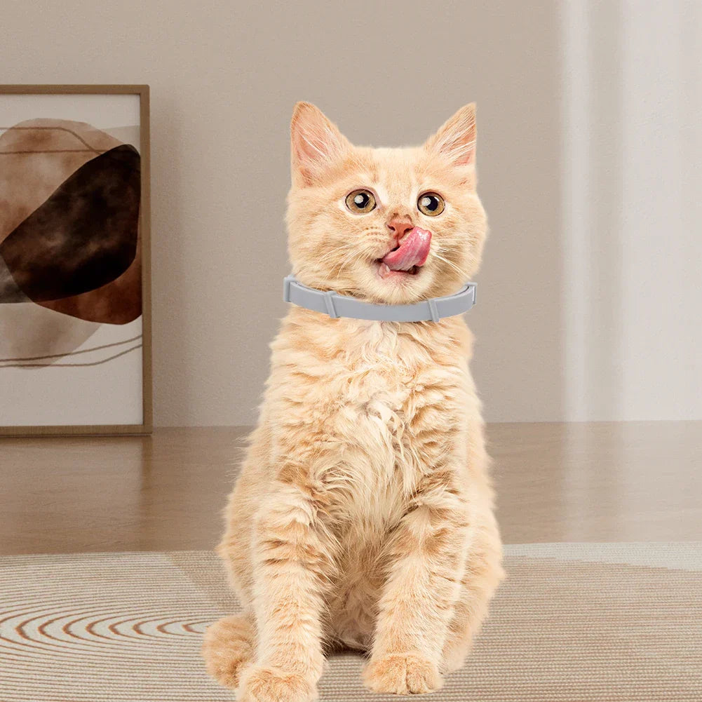 DogCatFri™ PetCollar 1+1 GRATIS - Justerbar Insektafvisende Kæledyr Krave