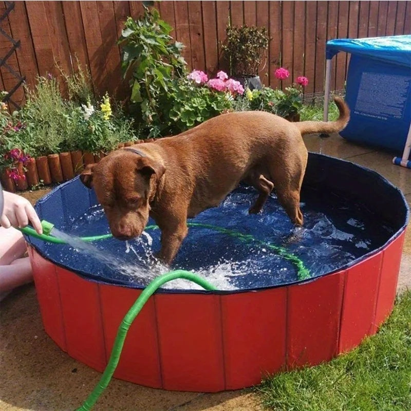 DogFri™ PawPool: Hundebad og Splash Sjov Sammenfoldelig Husdyr Swimmingpool