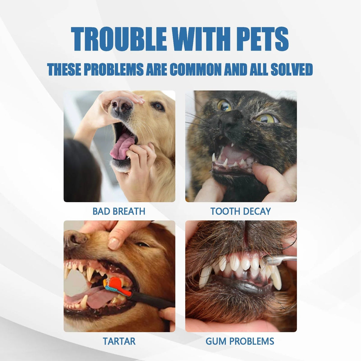 DogCatFri™ OralPet 1+1 GRATIS: Tandrensning Og Mundpleje Skum Spray Til Dyr