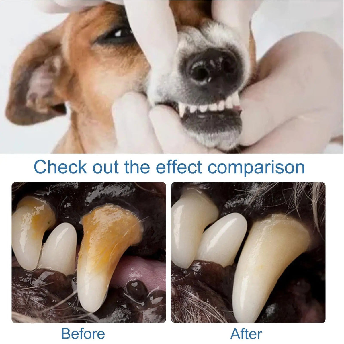 DogCatFri™ OralPet 1+1 GRATIS: Tandrensning Og Mundpleje Skum Spray Til Dyr