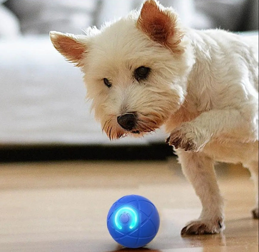 DogCatFri™ InteractiveBall: Genopladelig Interaktiv Kæledyr Legetøjsbold
