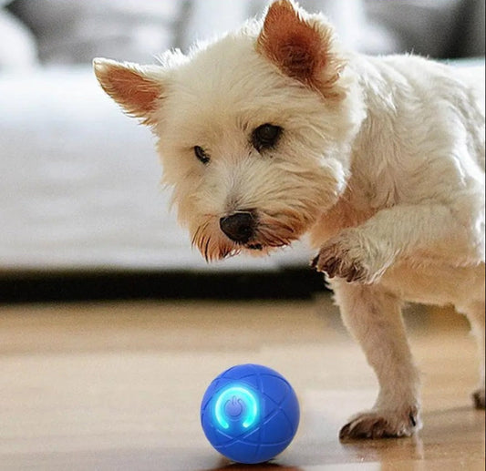 DogCatFri™ InteractiveBall: Genopladelig Interaktiv Kæledyr Legetøjsbold
