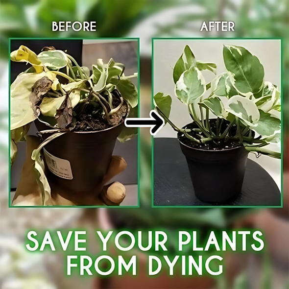 LiquidFertilizer - Magi Væske Næringsstof Plante Gødning