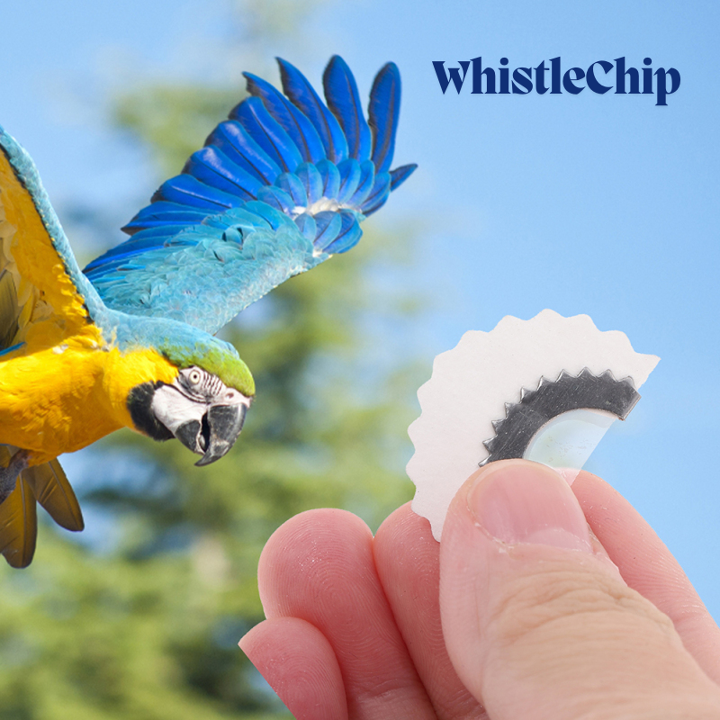 BirdWhistle 1+1 GRATIS – Mini Magisk Fuglekald Fløjte Chip