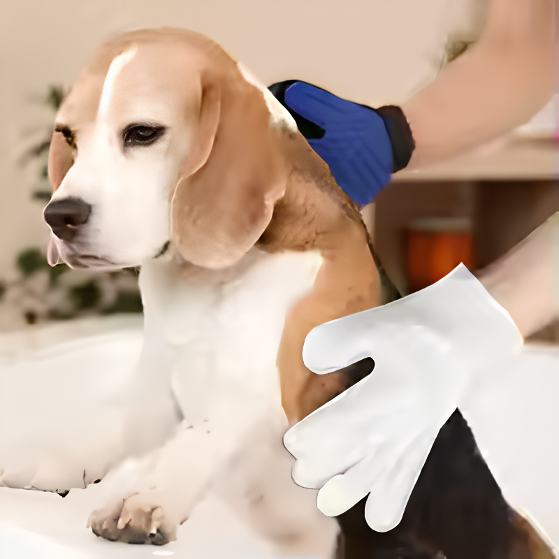 DogCatFri™ GloveWipes: Deodoriserende Handskerens Til Kæledyrpleje Og Rengøring