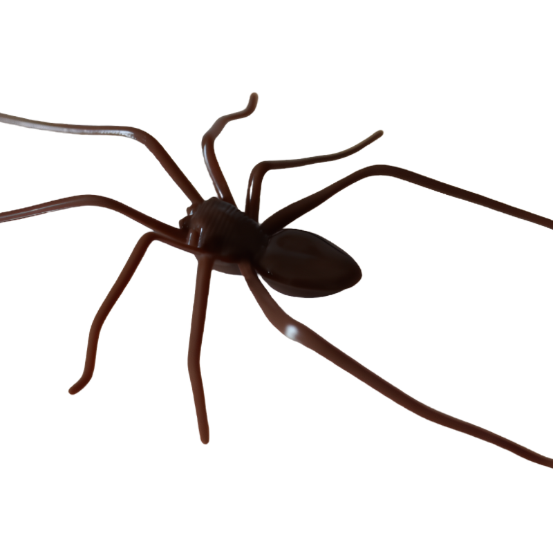 MagneticSpider 2+3 GRATIS: Magnetisk Realistisk 3D Edderkop Dekor Til Køleskab