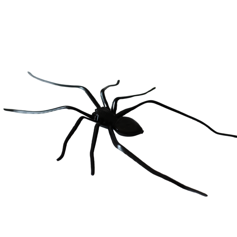 MagneticSpider 2+3 GRATIS: Magnetisk Realistisk 3D Edderkop Dekor Til Køleskab