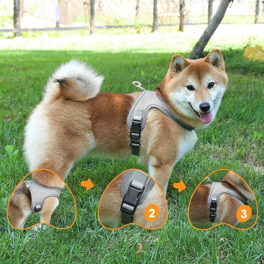 DogCatFri™ BreathableHarness - Justerbar Og Åndbar Hundesele Og Snor Sæt