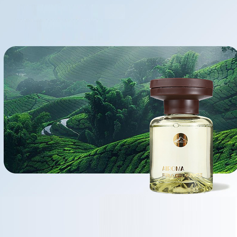 AromatherapyDiffuser - Hverdags Duft Aromaterapi Diffuser