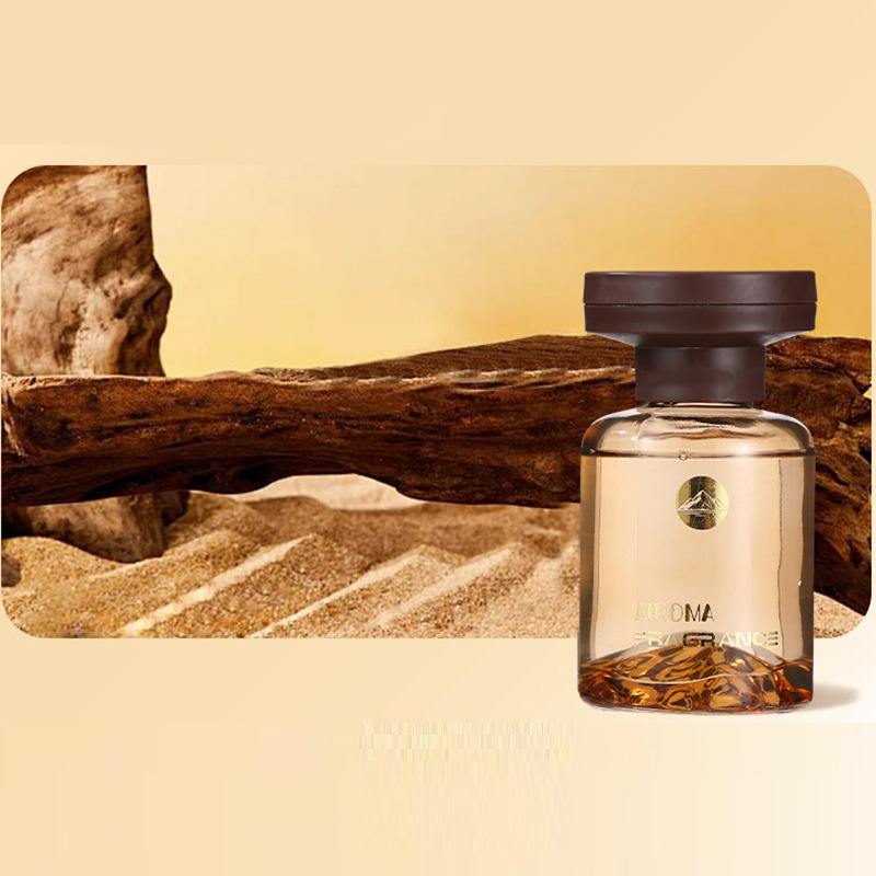 AromatherapyDiffuser - Hverdags Duft Aromaterapi Diffuser