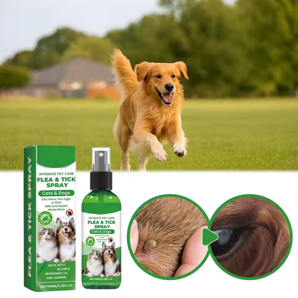 DogCatFri™ PetCare: Mildt, Let At Bruge Hurtigt Lopper- Og Flåtspray Dyrepleje