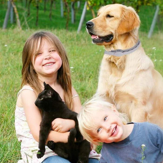 DogCatFri™ PetCollar 1+1 GRATIS - Justerbar Insektafvisende Kæledyr Krave