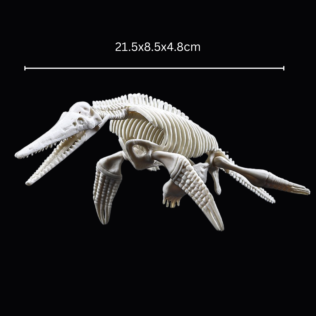Kletshuts™ SkeletonDinosaur: Pædagogisk Skelet Dinosaur Fossil Grave Sæt