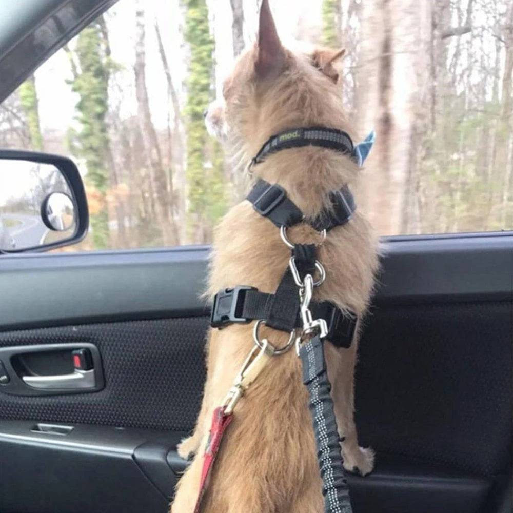 DogFri™ PawGuard 1+1 GRATIS: Hund Bil Sæde Bælte
