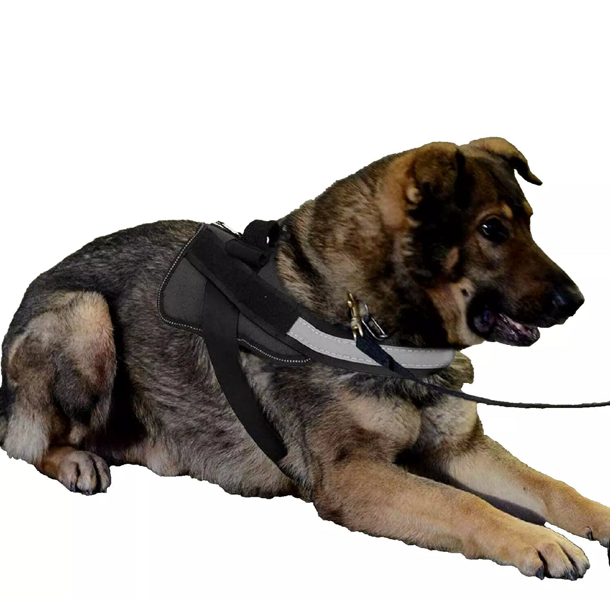 DogFri™ DogHarness: Ingen træk Åndbar Hund Sele