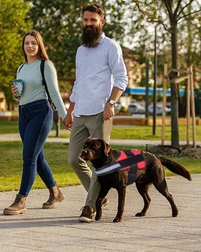 DogFri™ DogHarness: Ingen træk Åndbar Hund Sele