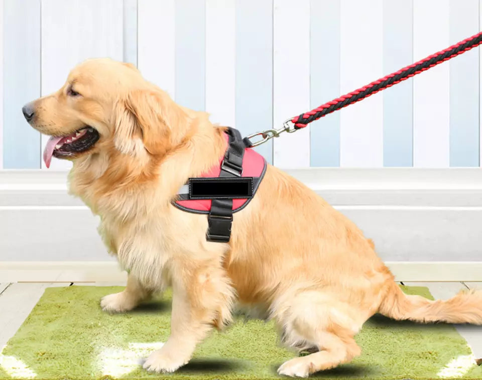 DogFri™ DogHarness: Ingen træk Åndbar Hund Sele
