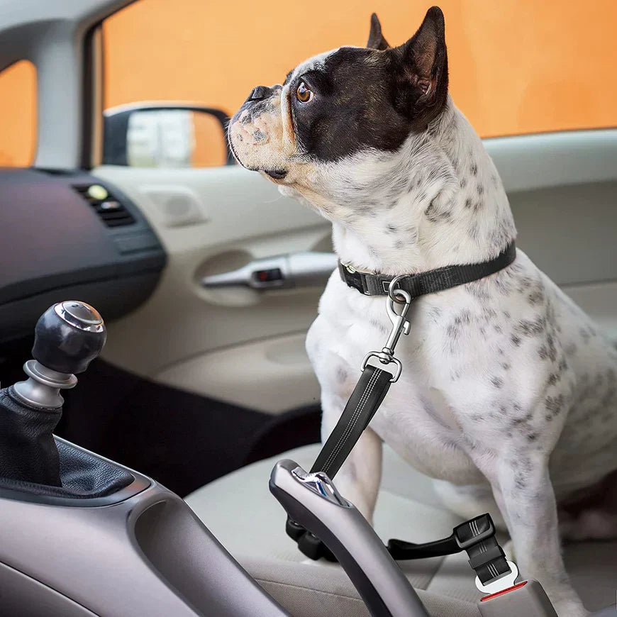 DogFri™ PawGuard 1+1 GRATIS: Hund Bil Sæde Bælte