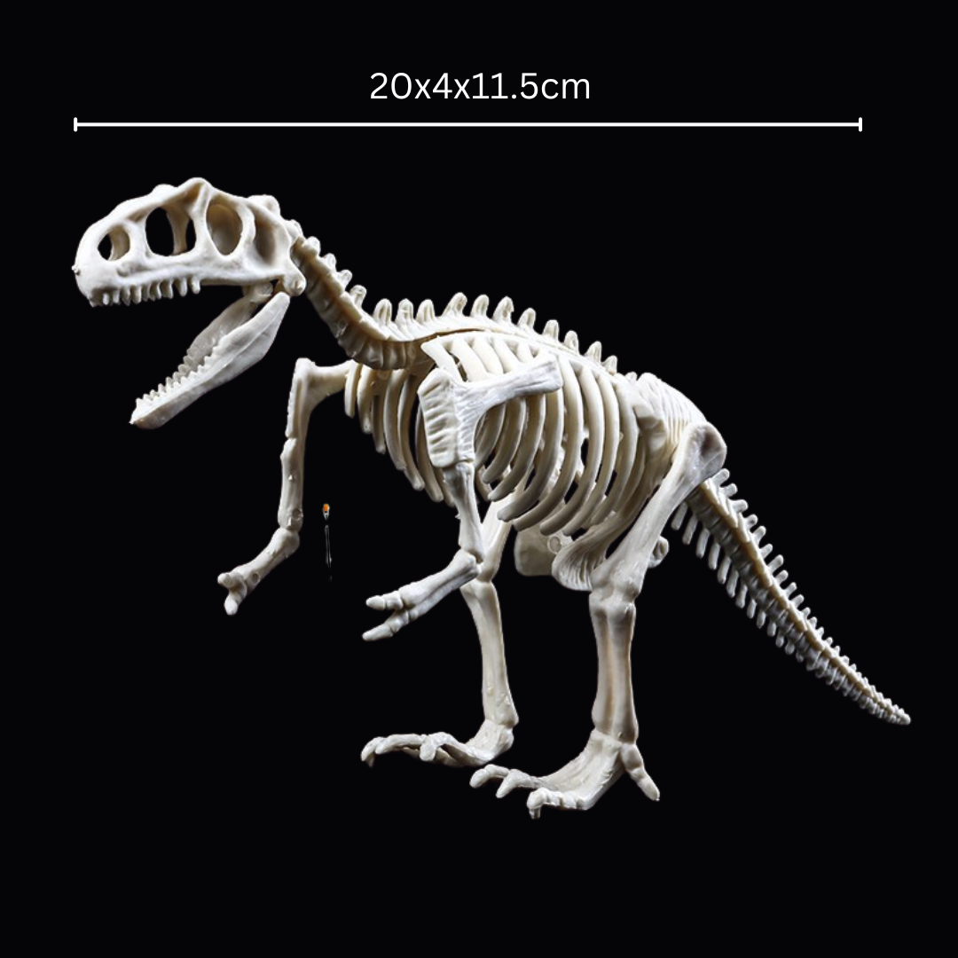 Kletshuts™ SkeletonDinosaur: Pædagogisk Skelet Dinosaur Fossil Grave Sæt