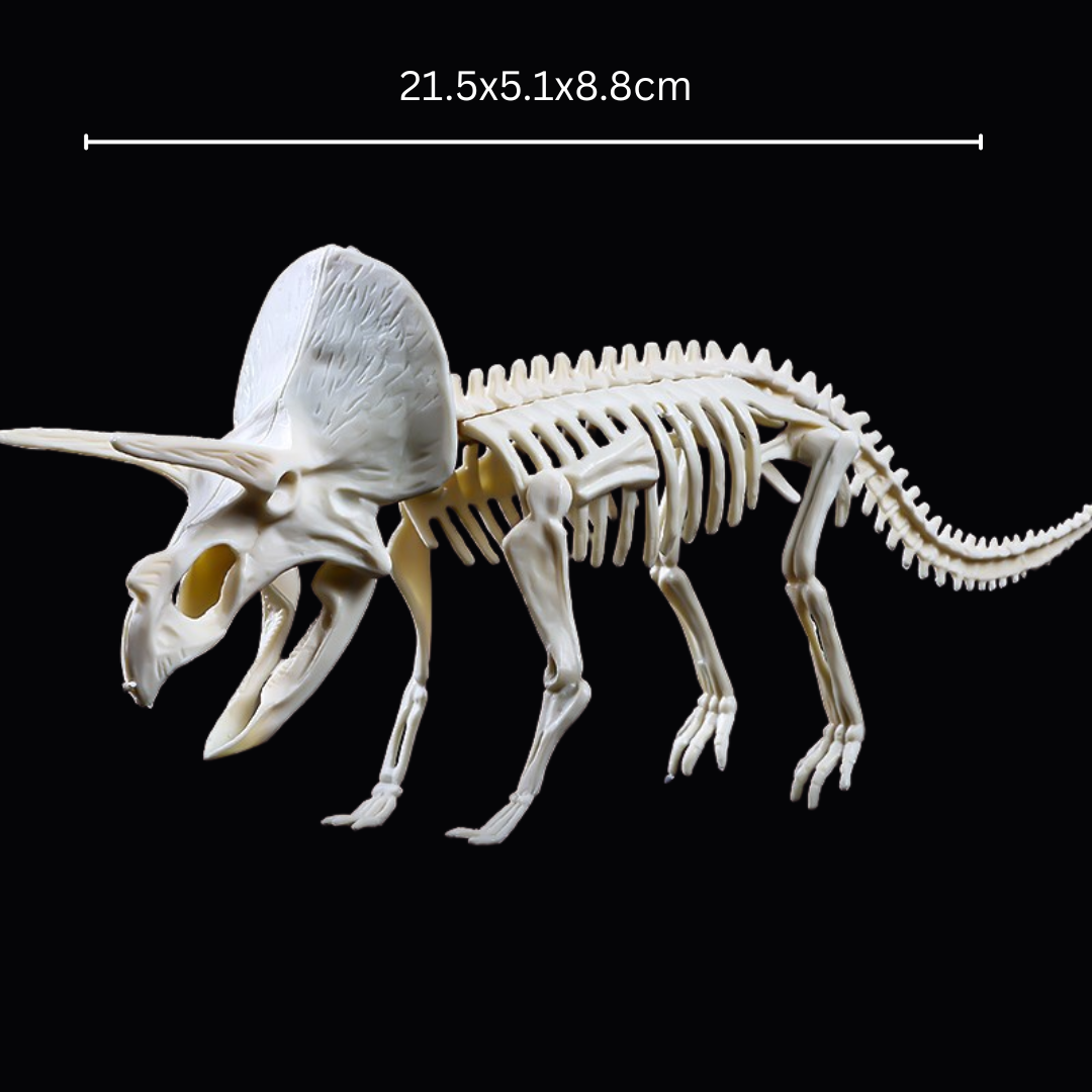 Kletshuts™ SkeletonDinosaur: Pædagogisk Skelet Dinosaur Fossil Grave Sæt
